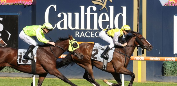 Kilmore Cup odds suggest a competitive field