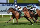 Archibald-Neasham look for second G1 in Perth