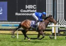 Pisces in line for Sandown Guineas honours