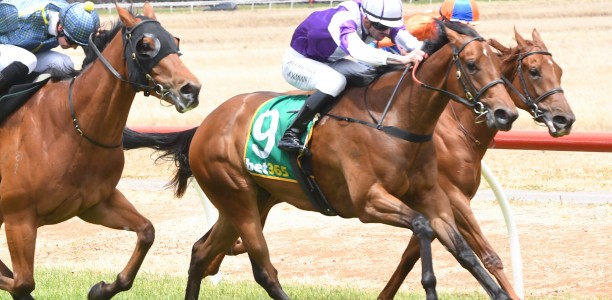 Shepherdson takes aim at Sandown Guineas