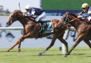 Serpentine in shape for Zipping Classic