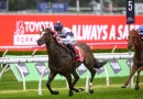 Star Sydney sprinter Overpass short odds in the Winterbottom Stakes