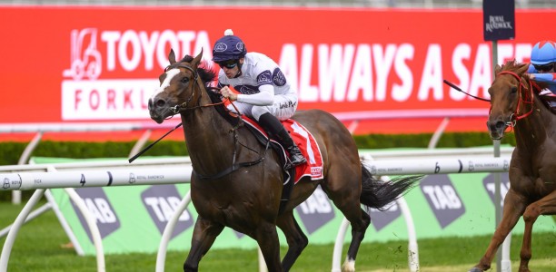 Star Sydney sprinter Overpass short odds in the Winterbottom Stakes