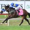 In-form Uzziah earns Festival Stakes shot