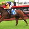 Group 1 aims for filly with Spicy future