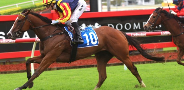 Group 1 aims for filly with Spicy future