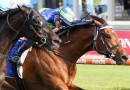 Attrition in line for Northerly Stakes honours