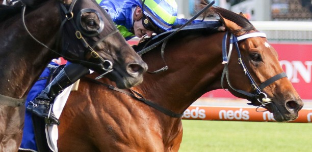 Attrition in line for Northerly Stakes honours