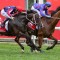 Globe eyes the Ballarat Cup