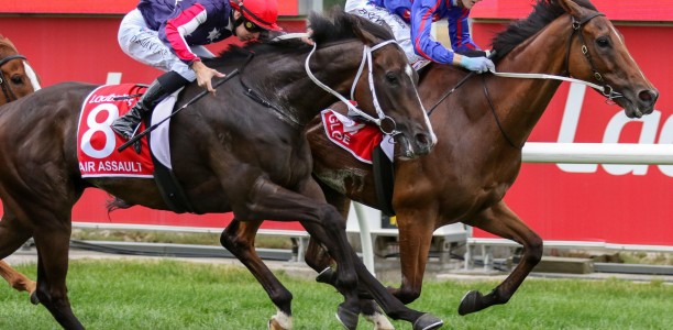 Globe eyes the Ballarat Cup