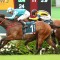 Star galloper Romantic Warrior odds on in the Hong Kong Cup