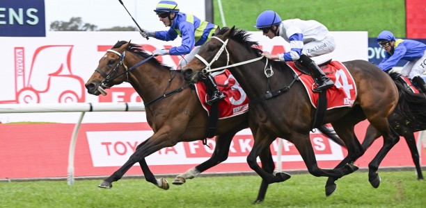 Attrition ahead of G1 Northerly Stakes