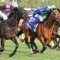 Attrition’s odds crunched to win the Northerly Stakes at Ascot