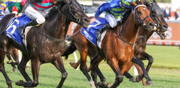 Attrition’s odds crunched to win the Northerly Stakes at Ascot