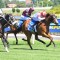 Legend the Chosen one at Caulfield