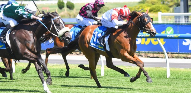 Legend the Chosen one at Caulfield