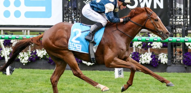 Light Infantry Man rebounds in Northerly Stakes