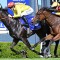 New Magic Millions Classic fancies after Wyong feature