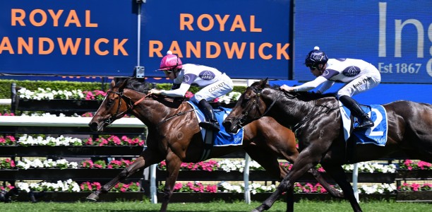 Baker filly lays down the Law in the Inglis Nursery