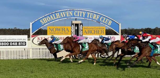 Nowra Cup 2024 – Field Preview, Odds, Horses, Speed Map and Betting Tips