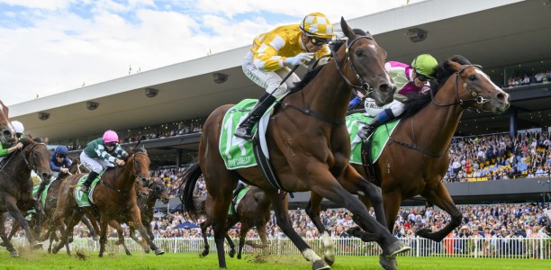 Golden Slipper winner set to trial at Hawkesbury