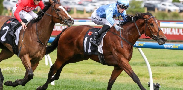 Lady’s Pakenham fate to be known Tuesday