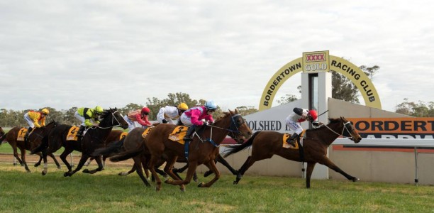 Bordertown Cup 2024 – Field Preview, Odds, Horses, Speed Map and Betting Tips