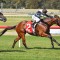 ‘Chautauqua of Hong Kong’ set for Australian debut