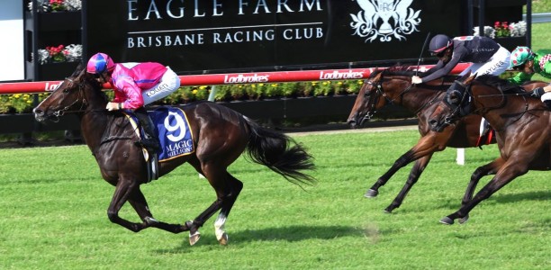 Icarian Dream stamps Magic Millions Classic credentials