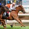 Melbourne Cup Champion Vow And Declare retired