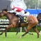 Lion’s Roar set for Summer Cup swansong