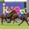 Marble Arch earns Lord Stakes opportunity