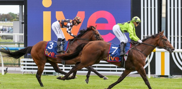 Marble Arch earns Lord Stakes opportunity