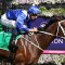 Winx’s $10mil first foal gets a name