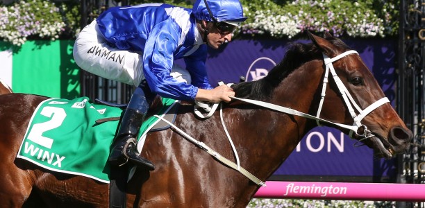 Winx’s $10mil first foal gets a name