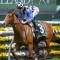 Thompson hoping filly can be Bel of the autumn