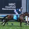 Lindsay Park’s Bold Magic Millions Sunlight play