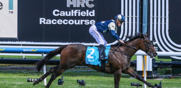 Lindsay Park’s Bold Magic Millions Sunlight play