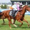 Mrs Chrissie short odds in the Christmas Stakes at Caulfield