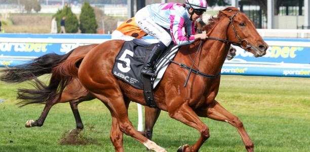 Mrs Chrissie short odds in the Christmas Stakes at Caulfield