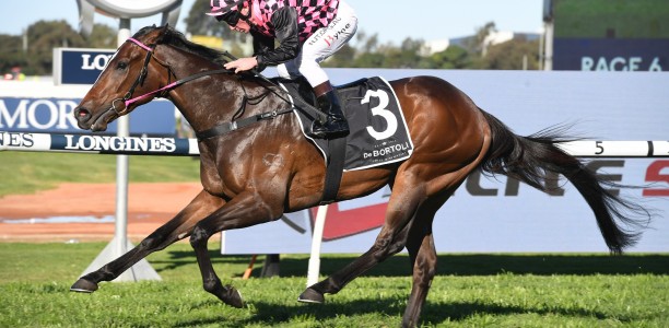 Punters plunge on Rothfire at big odds in The Buffering