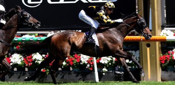 Grand Pierro makes amends in the Bagot Handicap