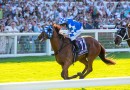 Carbery Praises ‘Quirky’ Perth Cup winner