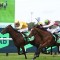 Golden Slipper winner heads odds in the Magic Millions Sunlight field