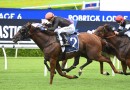 Defending champ Semana heads early odds in wide open Magic Millions Cup field