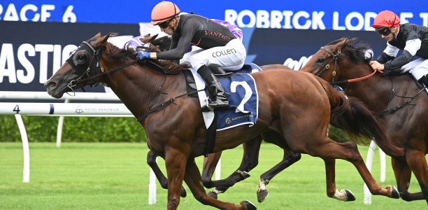 Defending champ Semana heads early odds in wide open Magic Millions Cup field