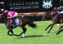 Icarian Dream’s odds drift after outside barrier draw in Magic Millions Classic