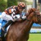 Victorian filly heads odds in wide open Magic Millions Guineas field