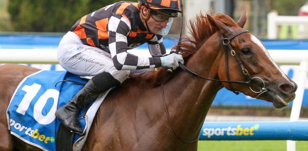 Victorian filly heads odds in wide open Magic Millions Guineas field