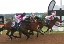 Devonport Cup 2025 – Field Preview, Odds, Horses, Speed Map and Betting Tips